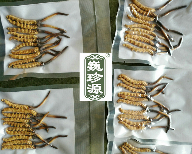 �r�x��,���r���x�Ĳ�,���r�x�ݺ͸��x���Ă�(g��)�I(y��ng)�B(y��ng)�r(ji��)ֵ��,���x�Ĳ����r�ĺ͸ɵ��Ă�(g��)�I(y��ng)�B(y��ng)�r(ji��)ֵ��,���r�x�ݺ͸��x�ݠI(y��ng)�B(y��ng)�r(ji��)ֵ�Ă�(g��)����