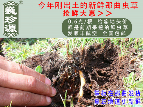 ���r���x�Ĳ����������r�x����Ρ��Դ0.6��/���^�����r�������x�Ĳ��������ڳ����������^�����r�x��