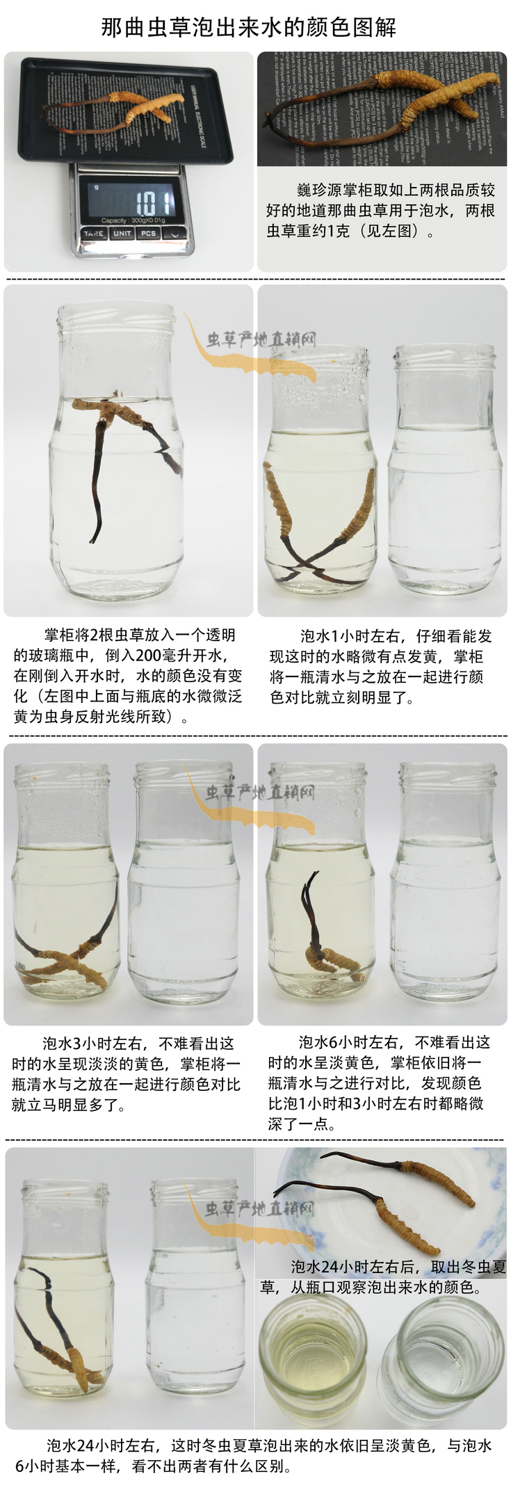 ���x�Ĳ��ݳ���ˮ���ɫ�����x�Ĳ��ݳ�����ˮ��ʲô�ɫ�����x�Ĳ���ˮ���ɫ��׃�����������x�����^ˮ��ˮ׃��ʲô�ɫ